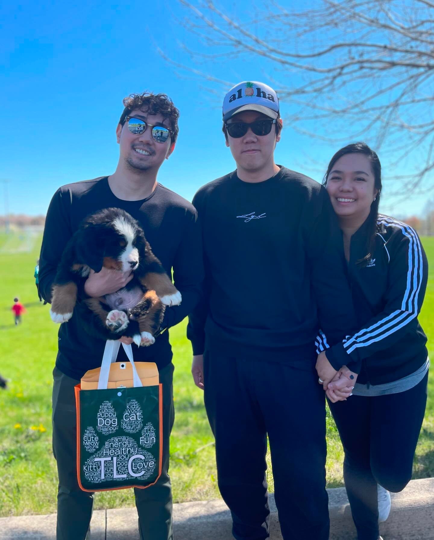 Buy a Bernese Mountain Dog puppy with a health guarantee and age-appropriate vaccinations.