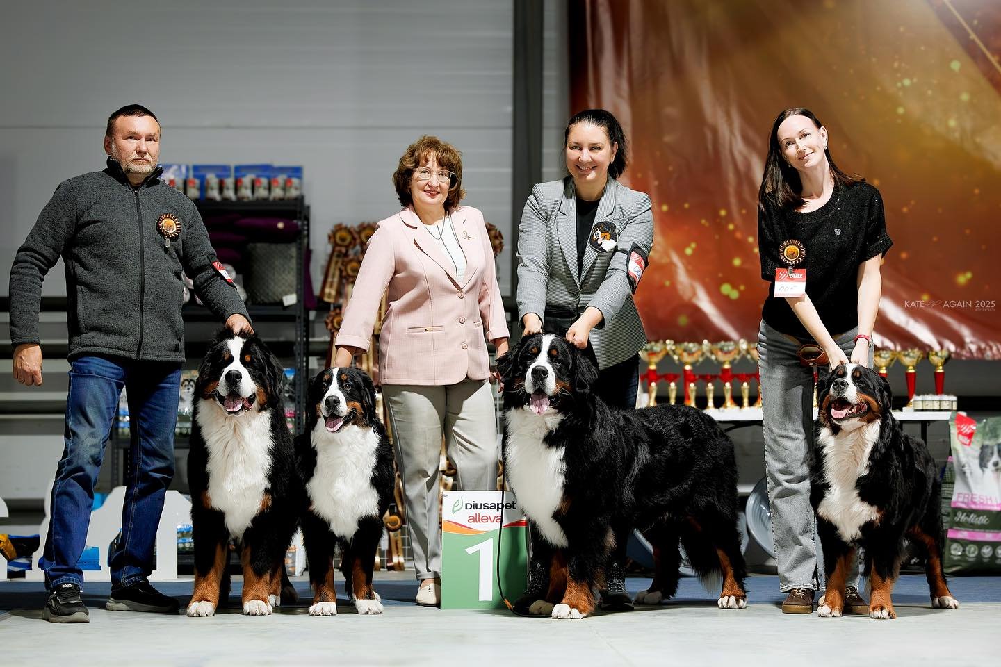 Bernese Mountain puppies for sale in Wisconsin raised by BerneseBuddy